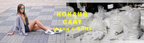 дживик Абаза