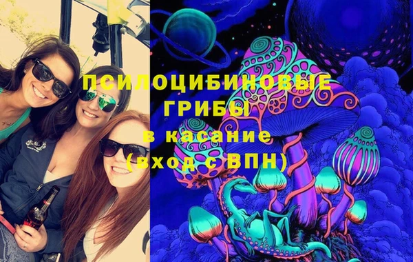 дживик Абаза