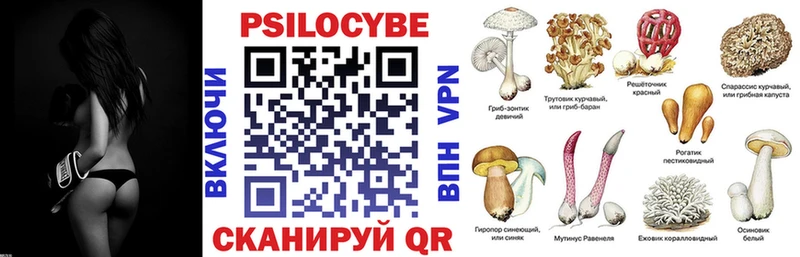 закладка  Абаза  площадка телеграм  Псилоцибиновые грибы Psilocybe 